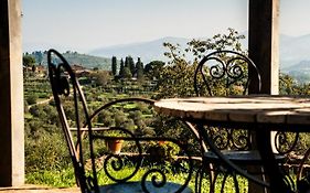 Podere Scaluccia